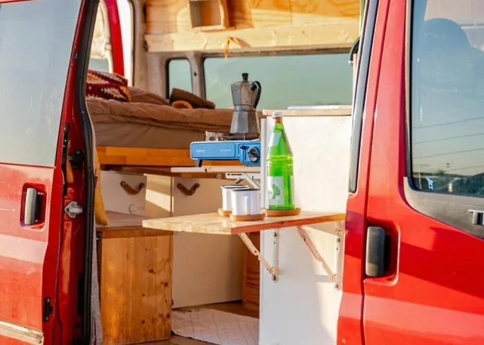 Transi The Düsseldorf