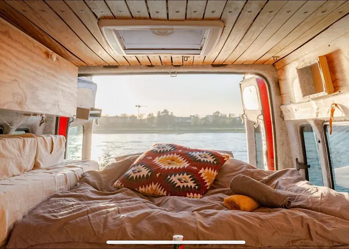 Transi The Campo de lujo *