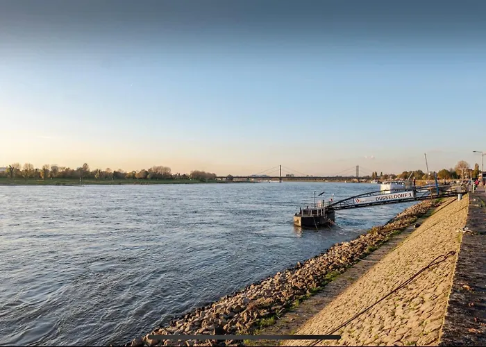 Campo de lujo Transi The