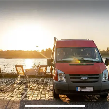 Transi The דיסלדורף